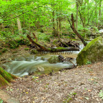 Zádielský kaňon IMG_4993